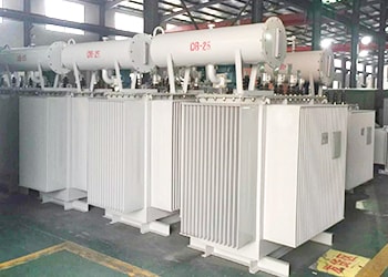 變壓器安裝竣工投運前均應(yīng)現(xiàn)場吊芯檢查